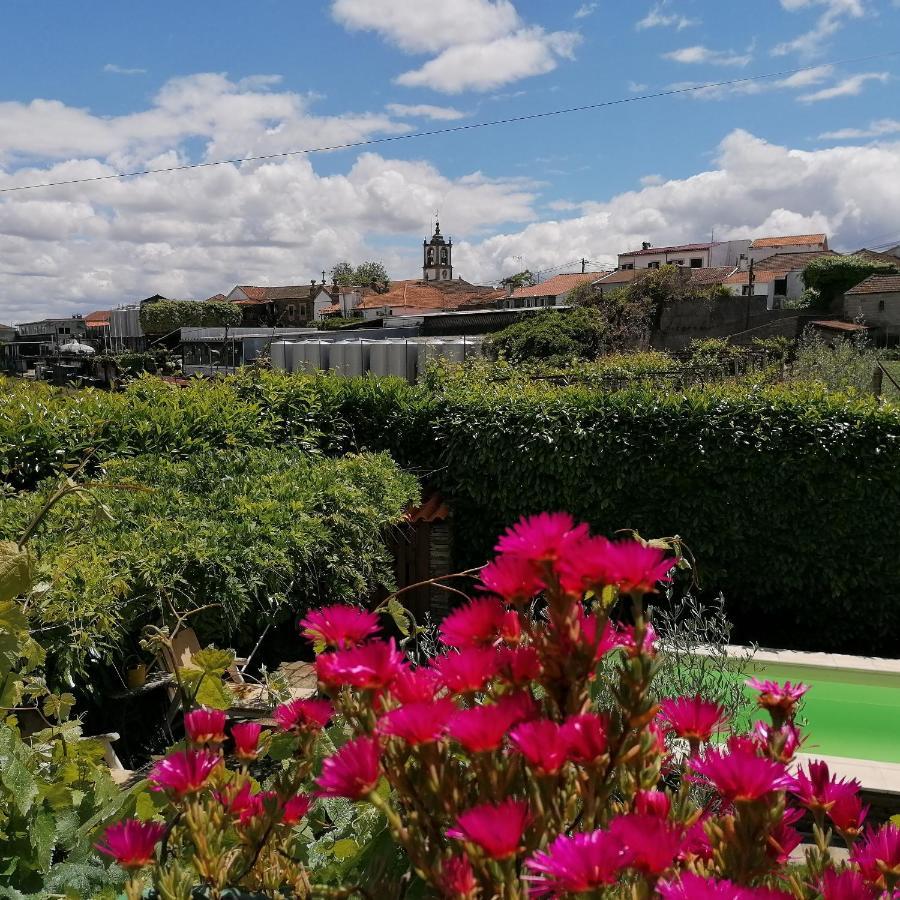 O Ze Ja Dormiu Aqui Villa Celeiros Kültér fotó