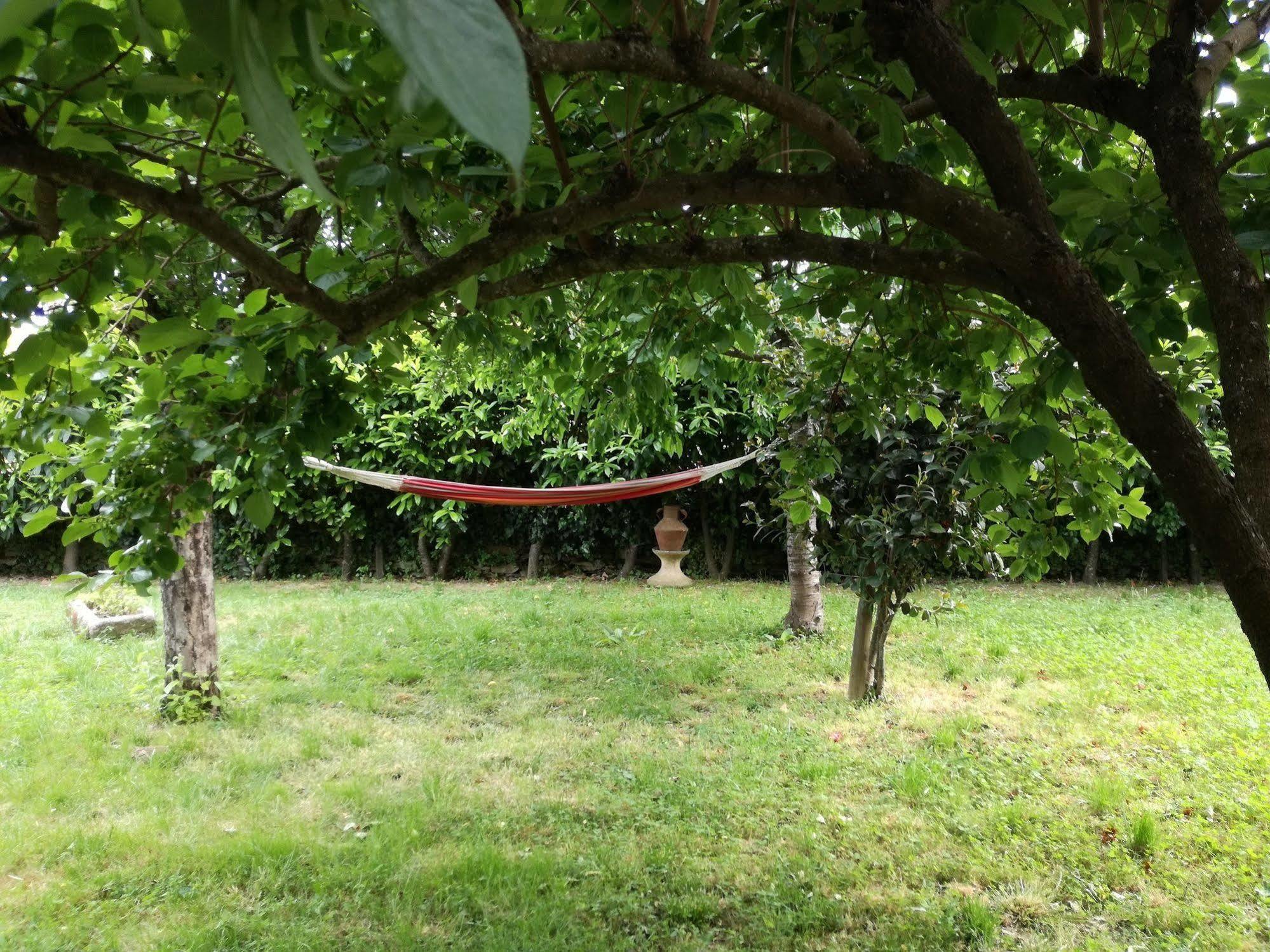 O Ze Ja Dormiu Aqui Villa Celeiros Kültér fotó